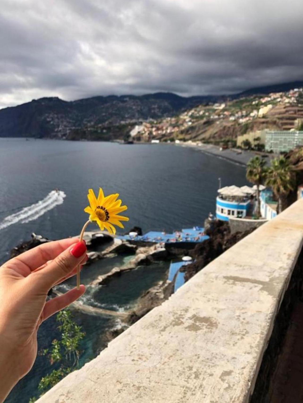 Apartamento Madeira Palace Cf5 Funchal (Madeira)